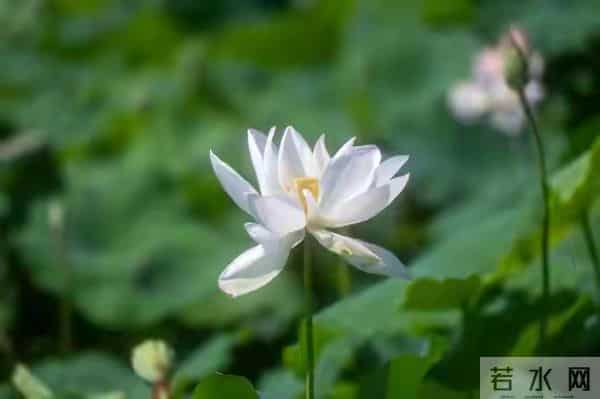 不管儿媳对你亲不亲,记住这3个理,晚年不憋屈