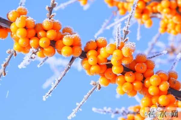 男人爱你”和“男人玩你”，身体语言不会说谎。