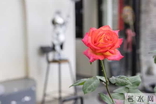 两性关系,女人可以搂着睡,亲她的嘴,但千万别全信她说的话