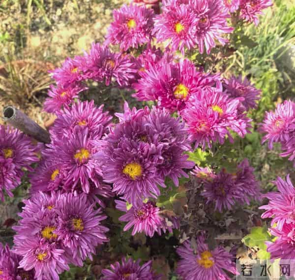 我非你不嫁，非你不要，非你不可