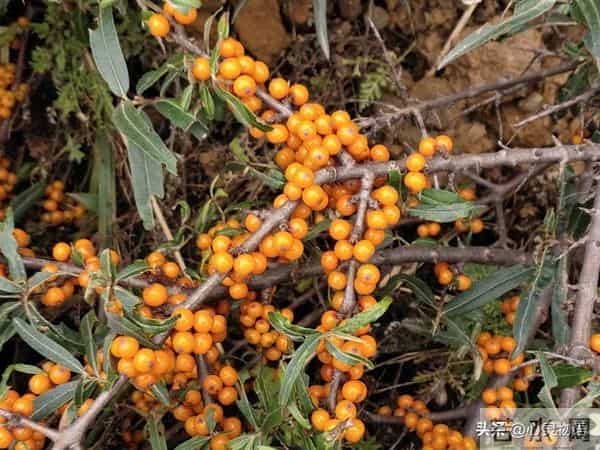 男人爱你”和“男人玩你”，身体语言不会说谎。