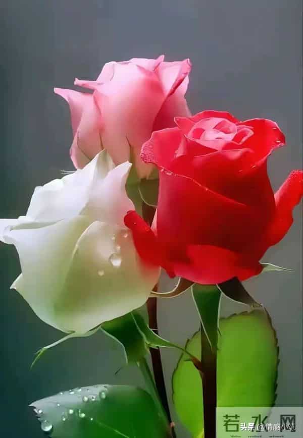 两性关系:99%的女人都曾偷偷做过这件事,却从来不敢说出口