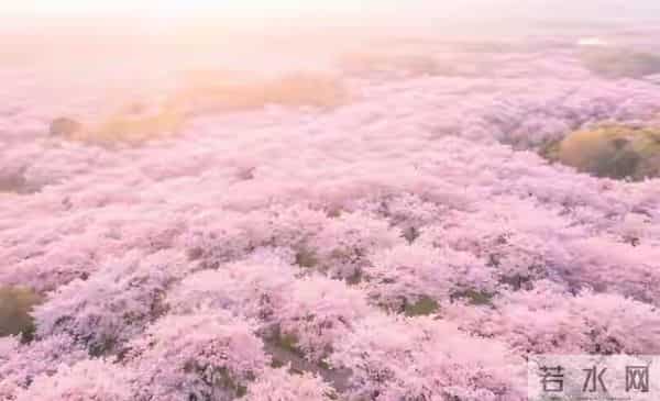 女人这样和男人联系，其实是在拒绝你，你就不要打拢了