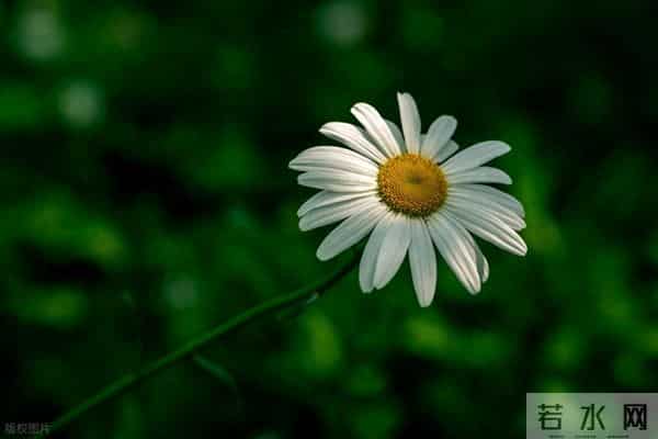 真正想分手的男人，往往不是冷暴力，而是这3种态度