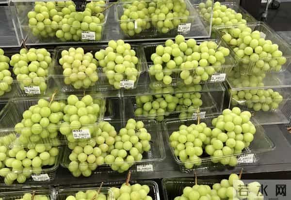 去年4月,因为身体原因,我把公司卖掉,套现两千万,却遭遇这事