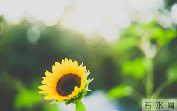 男人对你的感情，是真是假？用这个办法，试一下就清楚了