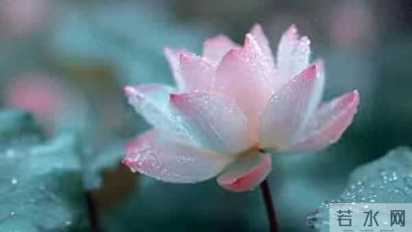 不管儿媳对你亲不亲,记住这3个理,晚年不憋屈