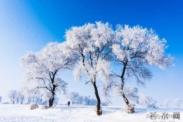 男人在这4个时刻抱住女人，女人基本不会拒绝