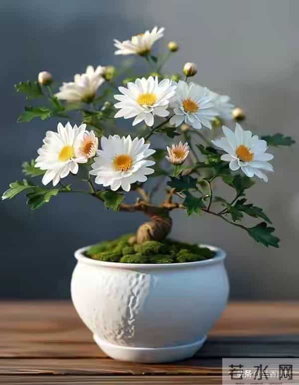 两性关系,68女人大实话,男人过了70岁,只剩下两个用处