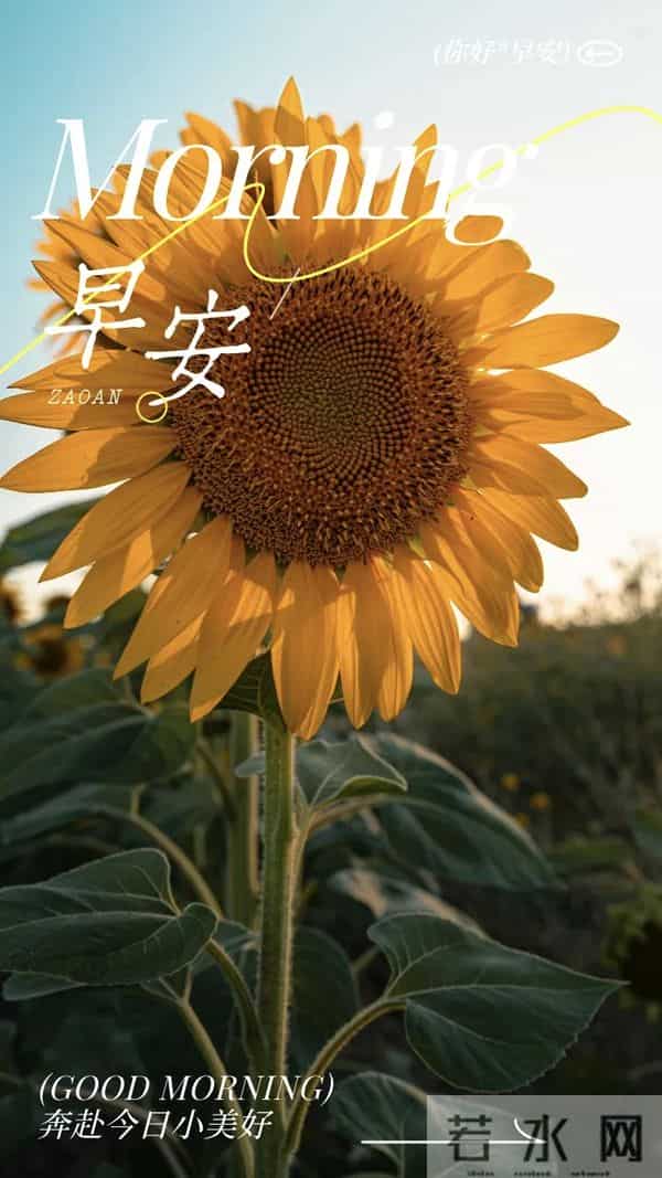 早安心语 人生从来不止一个“正确”的方向