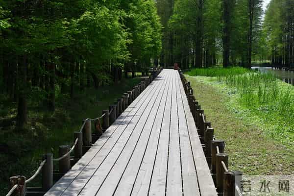 学会一种很厉害的本事：大大方方地“小气”