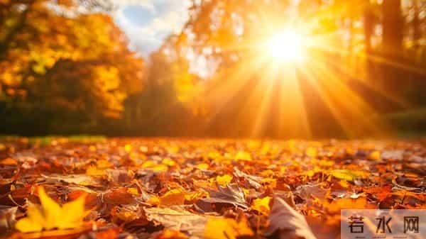 亲爱的，我爱你！牵挂你到老，想念你一生