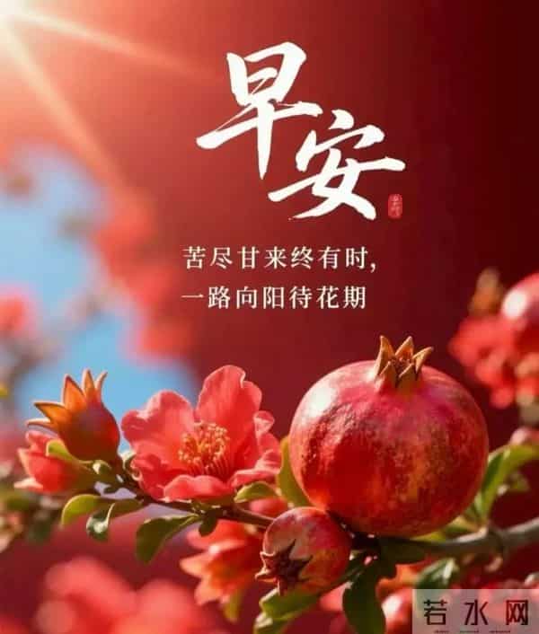 2025年12月10日周三早安 早上好图片最新今天 温馨淡雅的早安图片