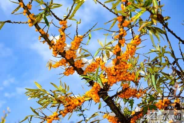 男人爱你”和“男人玩你”，身体语言不会说谎。