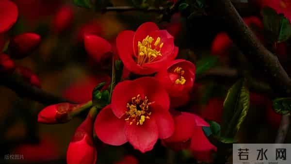 我的退休生活·读书