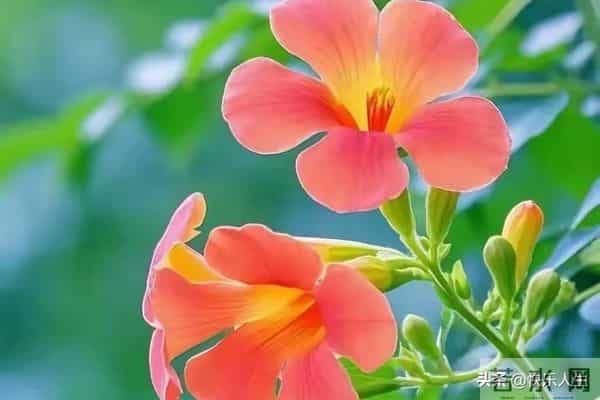 惊人的因果关系-男女之间,一旦发生暧昧关系,一辈子也忘不了