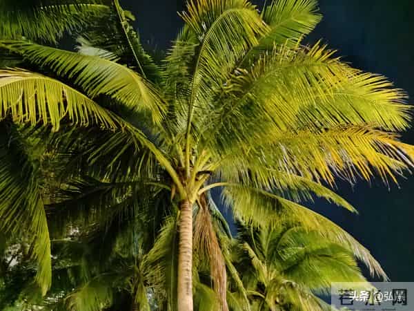 《灵魂的单程票,尊重生命!》