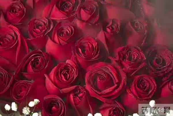 两性关系：真正聪明的女人，一辈子有4不管，越不管越好命！