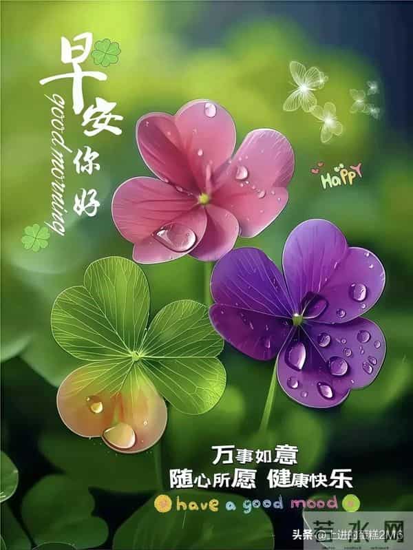 早安!迎着朝阳出发带着收获回家,日子温暖,抬头遇见的皆是美好