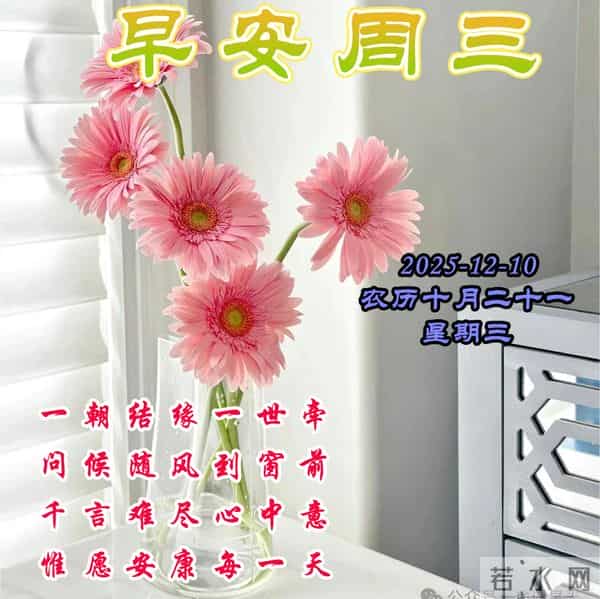 周三早安问候美图-心若向阳,人若简单,处处是风景世界便清澈