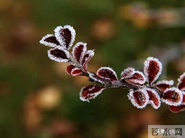 女人动了情,其实不会叫你“老公”,而是叫四个称呼