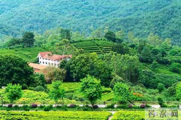 发现妻子在外儿女双全，我平静的离了婚，两年后她带着娃上门认爹