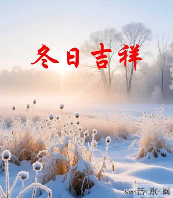 人间冬已深，岁月有相逢