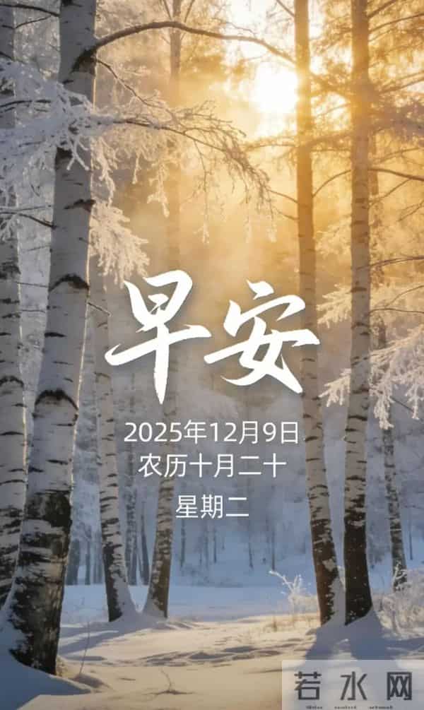 2025.12.9 冬天周二早安愉快！最新精美周二早上好温馨祝福语图片