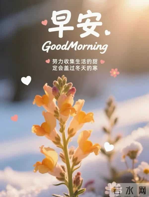 2025.12.09 冬天周二早安愉快!最新精美周二早上好温馨祝福语图片