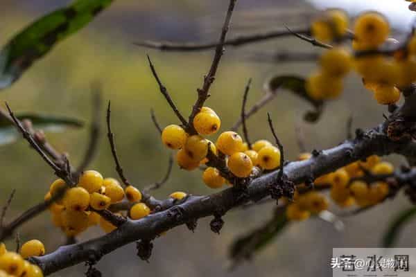 男人爱你”和“男人玩你”，身体语言不会说谎。