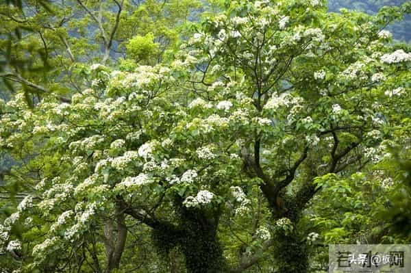 两性关系:多数女性步入60岁,最藏不住的4个渴望,你真的明白吗