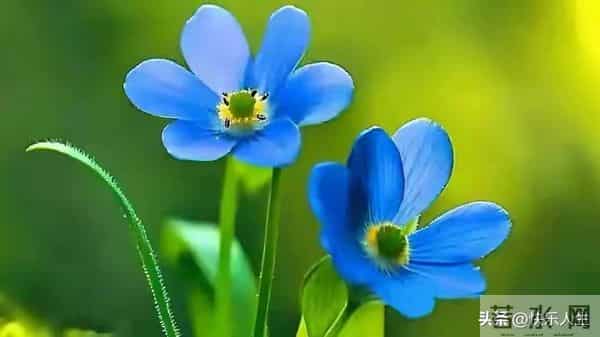 惊人的因果关系-男女之间,一旦发生暧昧关系,一辈子也忘不了