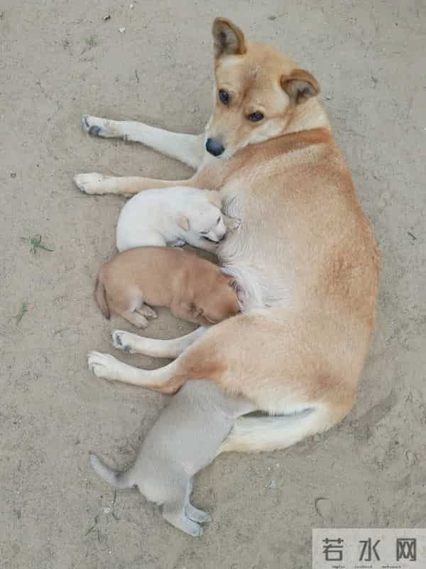 戒烟、戒酒、戒色，戒啥你都不如戒手机！