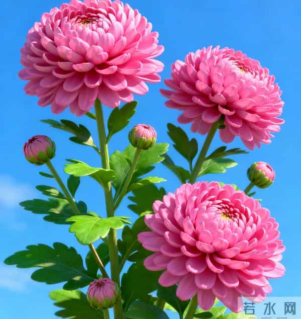 我非你不嫁，非你不要，非你不可