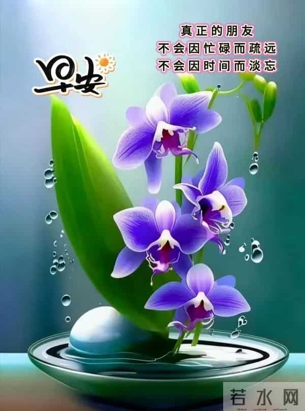 12月10日早上好 早上好温馨问候图片 早安图片最新今天 周三快乐