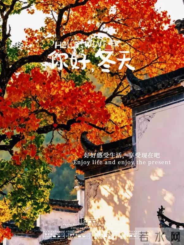 12月10日早上好 早上好温馨问候图片 早安图片最新今天 周三快乐