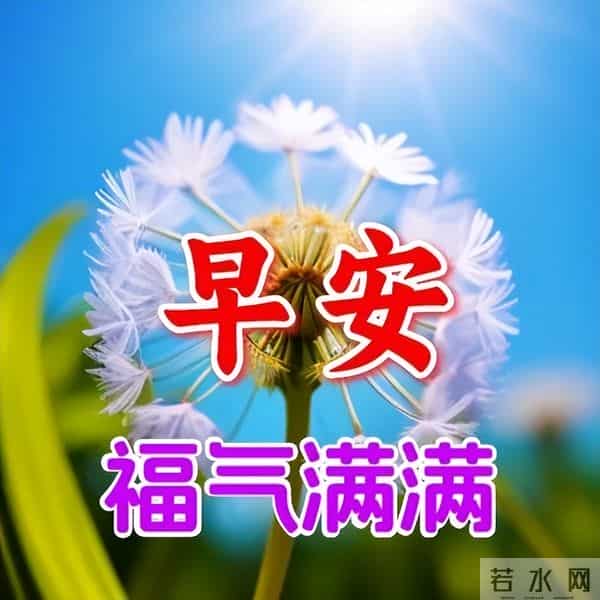 12月9日今天最新问候语早上好，清晨祝福语录，愿你好运常伴