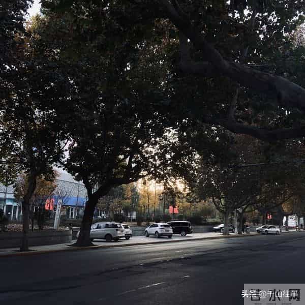 兄弟姐妹翻脸后,这8种做法,既留体面又护亲情