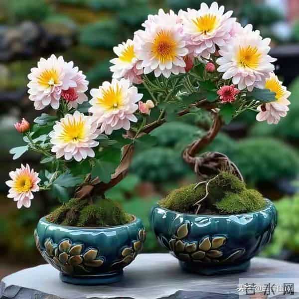 两性关系,68女人大实话,男人过了70岁,只剩下两个用处