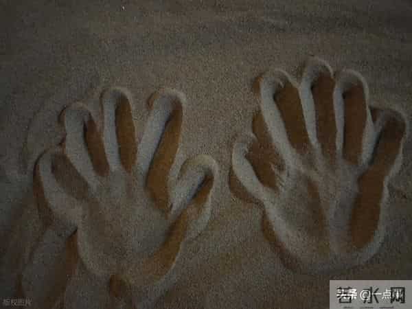 婆婆把房和钱都给了大姑姐，8年后拎包来我家，却说：养儿防老