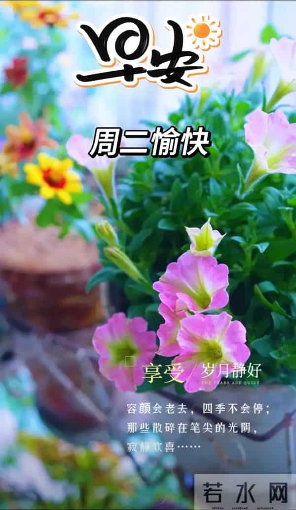 2025年12月09日早上好 早上好温馨问候祝福语 早安精美图片 周二愉快