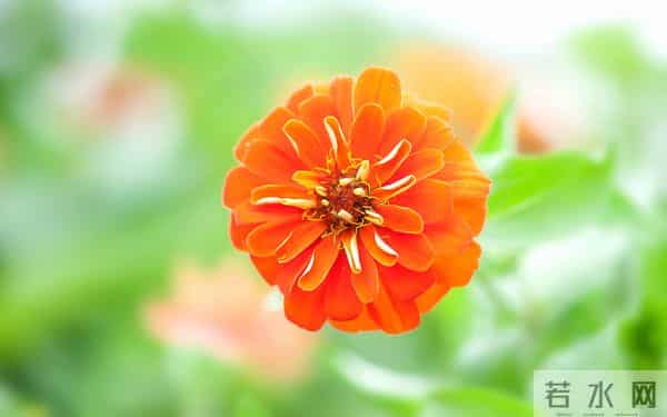 男人对你的感情，是真是假？用这个办法，试一下就清楚了