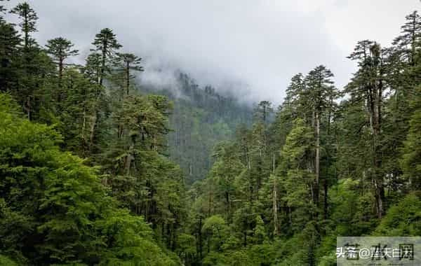 人有没有本事,看脾气便知,脾气越掘越硬的人,日子多半不好过