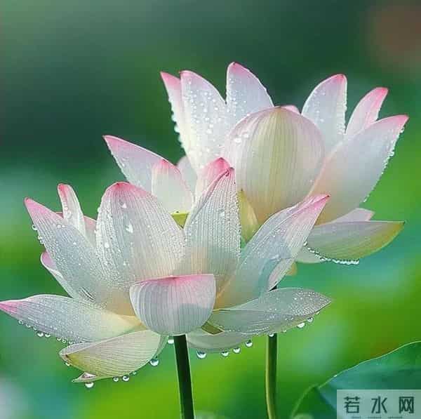 ［心理测试］你选择的婚姻幸福吗