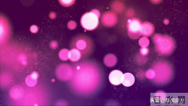 巳蛇,12月11号至12月17号中旬运势,即将喜从天降!