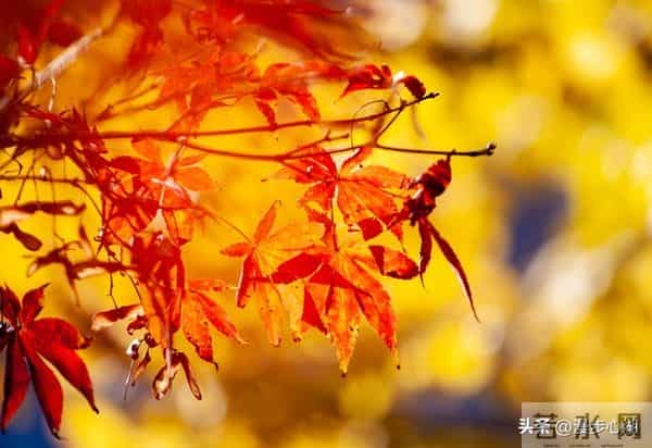 忠告子女：再孝顺，也不要为年过75的老父老母，做这4件事