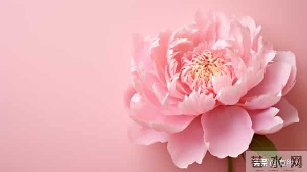 女人很容易“动情”的四种男人，不论年龄多大，女人都爱。