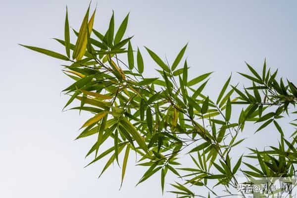 发现了没有,很多丧偶的女人,在外面从来不说!自己是已经丧偶的