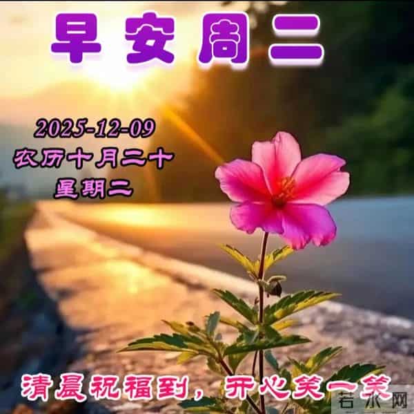 2025.12.09今日十月二十——早上好，周二祝福问候语，早安图片