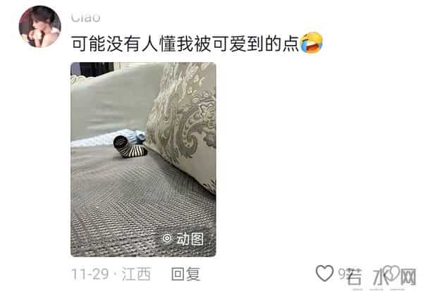 用一张没有孩子的照片，证明你有孩子！网友哭喊：此刻已不是少年